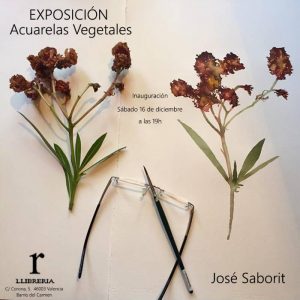 Exposición de las acuarelas vegetales del pintor José saborit